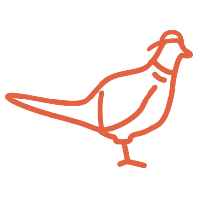 Resident Pheasant chocolate with attitude logo