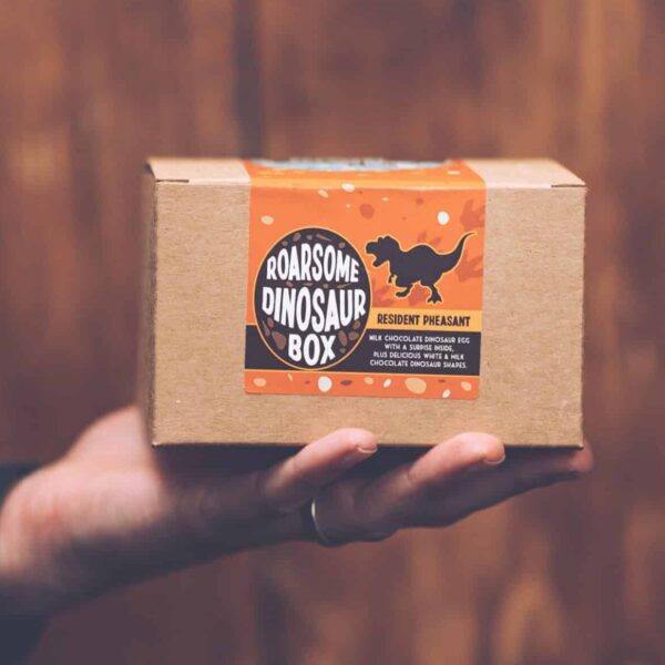 Chocolate Dinosaur Box in hand